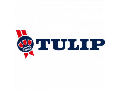 Tulip