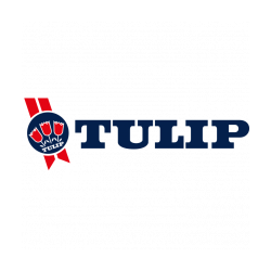 Tulip